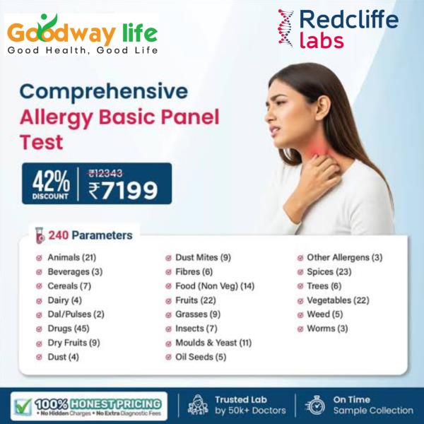 Comprehensive Allergy Basic Panel Test 